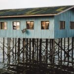 Borneo / Danuta Rasała