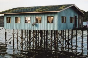 Borneo / Danuta Rasała