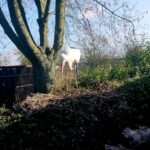 03.11.2019 Złota. Ośrodek „Ptakolub” / Dorota Klusek / Radio Kielce