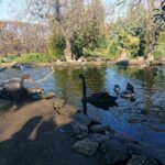 03.11.2019 Złota. Ośrodek „Ptakolub” / Dorota Klusek / Radio Kielce