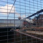 03.11.2019 Złota. Ośrodek „Ptakolub” / Dorota Klusek / Radio Kielce