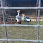 03.11.2019 Złota. Ośrodek „Ptakolub” / Dorota Klusek / Radio Kielce