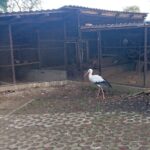 03.11.2019 Złota. Ośrodek „Ptakolub” / Dorota Klusek / Radio Kielce