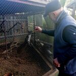 03.11.2019 Złota. Ośrodek „Ptakolub”. Na zdjęciu: Tadeusz Ptak - właściciel ośrodka / Dorota Klusek / Radio Kielce