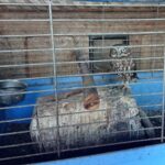 03.11.2019 Złota. Ośrodek „Ptakolub” / Dorota Klusek / Radio Kielce