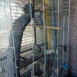 03.11.2019 Złota. Ośrodek „Ptakolub” / Dorota Klusek / Radio Kielce