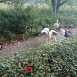 03.11.2019 Złota. Ośrodek „Ptakolub” / Dorota Klusek / Radio Kielce