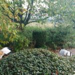 03.11.2019 Złota. Ośrodek „Ptakolub”. Na zdjęciu: Tadeusz Ptak - właściciel ośrodka / Dorota Klusek / Radio Kielce