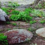 21.11.2019. Starachowice. Wernisaż wystawy fotografii "Magia powiatu starachowickiego" / Anna Głąb / Radio Kielce