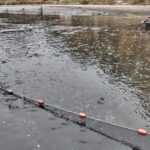 10.11.2019. Fałków. Odłów karpia / Magda Galas-Klusek / Radio Kielce