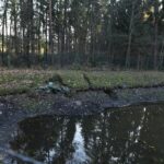 18.11.2019 Niekłań Wielki. Zbiornik wodny / Magdalena Galas-Klusek / Radio Kielce