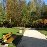 12.11.2019. Nagłowice. Park przy Dworku Mikołaja Reja / Ewa Pociejowska-Gawęda / Radio Kielce