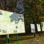 12.11.2019. Nagłowice. Park przy Dworku Mikołaja Reja / Ewa Pociejowska-Gawęda / Radio Kielce