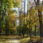 12.11.2019. Nagłowice. Park przy Dworku Mikołaja Reja / Ewa Pociejowska-Gawęda / Radio Kielce