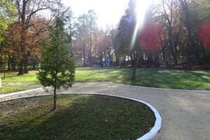 12.11.2019. Nagłowice. Park przy Dworku Mikołaja Reja / Ewa Pociejowska-Gawęda / Radio Kielce