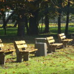 12.11.2019. Nagłowice. Park przy Dworku Mikołaja Reja / Ewa Pociejowska-Gawęda / Radio Kielce