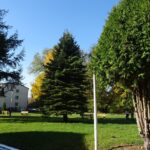 12.11.2019. Nagłowice. Park przy Dworku Mikołaja Reja / Ewa Pociejowska-Gawęda / Radio Kielce