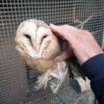 03.11.2019 Złota. Ośrodek „Ptakolub” / Dorota Klusek / Radio Kielce