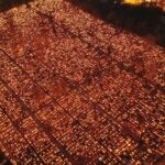 01.11.2019. Kielce. Cmentarz Nowy nocą / Jarosław Kubalski / Radio Kielce