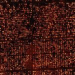 01.11.2019. Kielce. Cmentarz Nowy nocą / Jarosław Kubalski / Radio Kielce