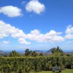 Mauritius / Joanna Dąbek