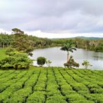 Mauritius / Joanna Dąbek