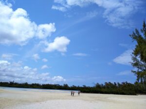 Mauritius / Joanna Dąbek