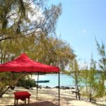 Mauritius / Joanna Dąbek