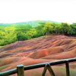 Mauritius / Joanna Dąbek