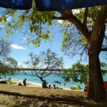 Mauritius / Joanna Dąbek