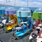 Mauritius / Joanna Dąbek