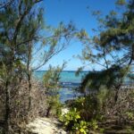 Mauritius / Joanna Dąbek