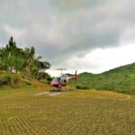 Mauritius / Joanna Dąbek