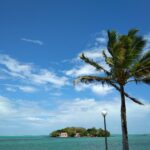 Mauritius / Joanna Dąbek