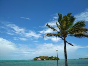 Mauritius / Joanna Dąbek