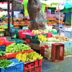 Mauritius / Joanna Dąbek