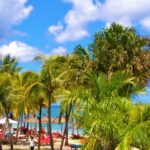 Mauritius / Joanna Dąbek