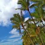 Mauritius / Joanna Dąbek