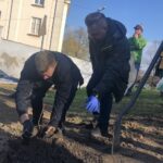 09.11.2019. Sandomierz. Miejska winnica przy Bramie Opatowskiej / Grażyna Szlęzak-Wójcik / Radio Kielce