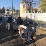 09.11.2019. Sandomierz. Miejska winnica przy Bramie Opatowskiej / Grażyna Szlęzak-Wójcik / Radio Kielce