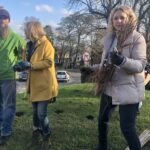 09.11.2019. Sandomierz. Miejska winnica przy Bramie Opatowskiej / Grażyna Szlęzak-Wójcik / Radio Kielce