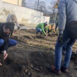 09.11.2019. Sandomierz. Miejska winnica przy Bramie Opatowskiej / Grażyna Szlęzak-Wójcik / Radio Kielce