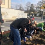 09.11.2019. Sandomierz. Miejska winnica przy Bramie Opatowskiej / Grażyna Szlęzak-Wójcik / Radio Kielce