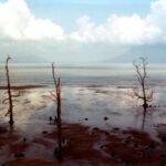 Borneo / Danuta Rasała