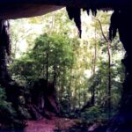 Borneo / Danuta Rasała