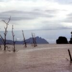 Borneo / Danuta Rasała