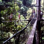 Borneo / Danuta Rasała