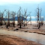 Borneo / Danuta Rasała