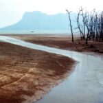 Borneo / Danuta Rasała