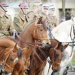11.11.2019 Kielce. Święto Niepodległości. Uroczystości na Placu Wolności / Jarosław Kubalski / Radio Kielce